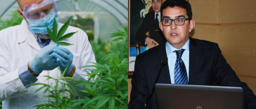 وكالة القنب المنشأة حديثًا تصدر بالفعل التراخيص